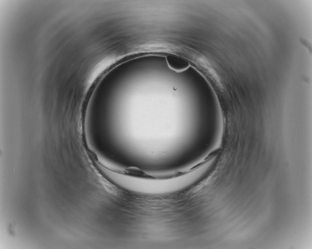 X0000096471328200801241420