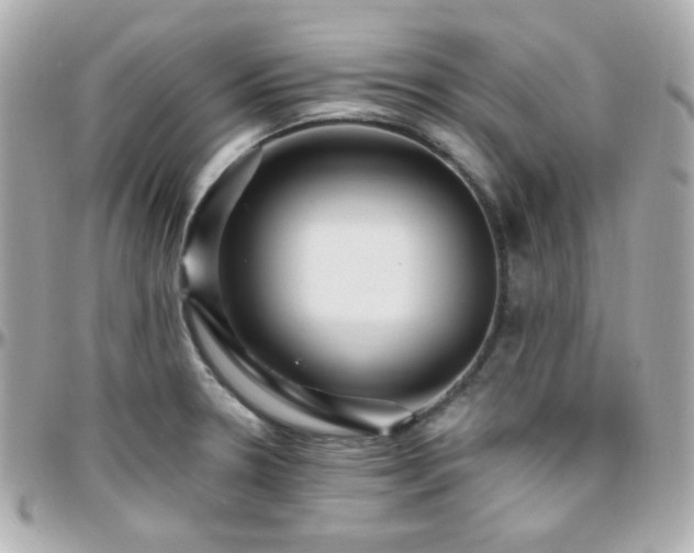 X0000096471330200801241420