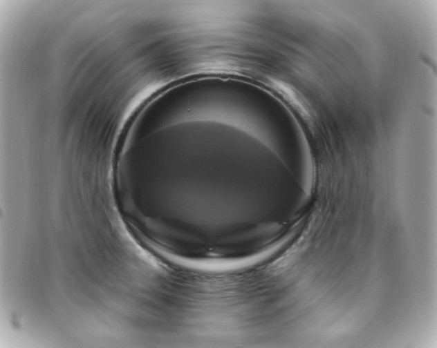 X0000096471331200801241420