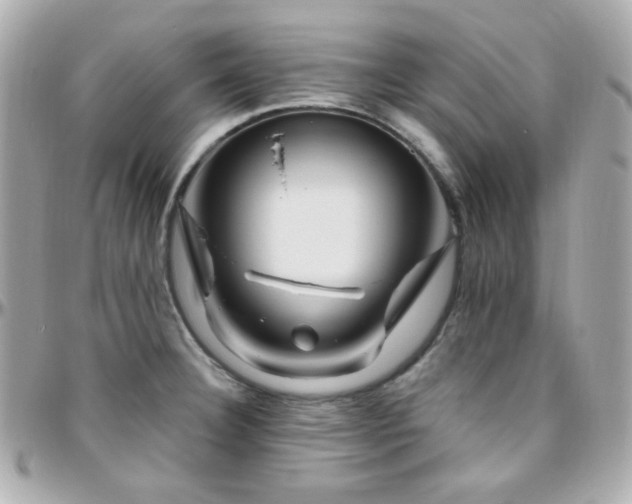 X0000096471332200801241420