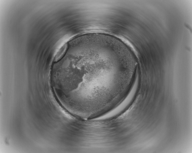 X0000096471333200801241420