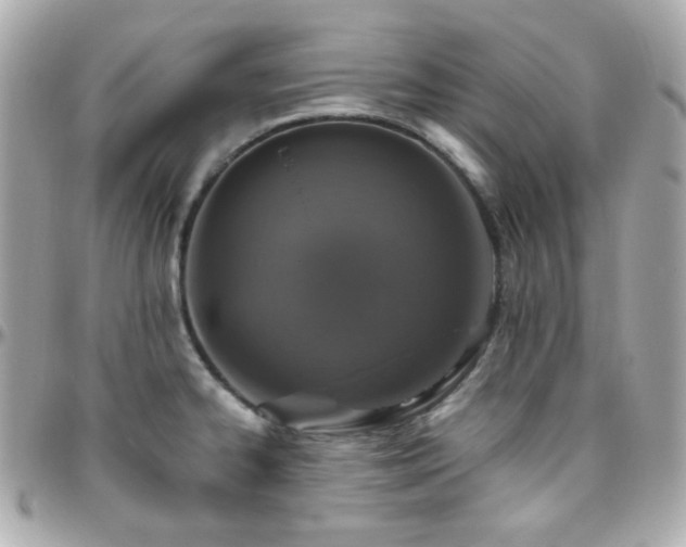 X0000096471334200801241420