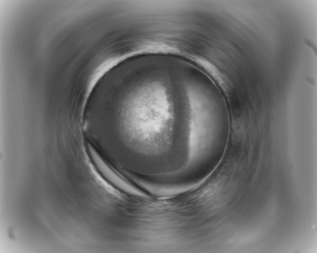 X0000096471335200801241420