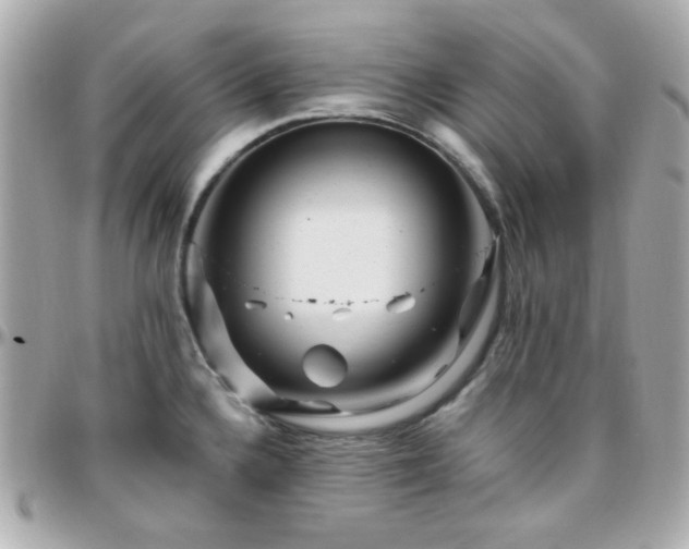 X0000096471336200801241420