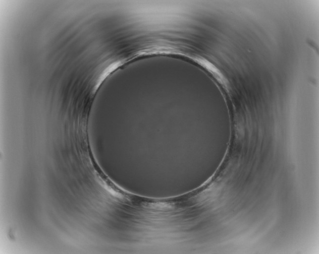 X0000096471337200801241420