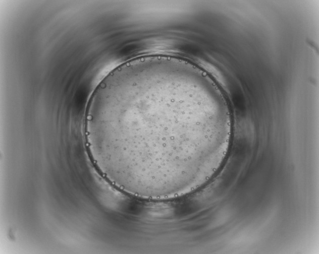 X0000096471338200801241420