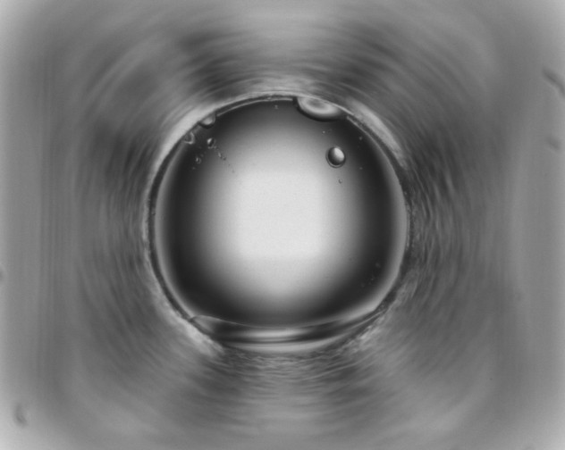 X0000096471339200801241420