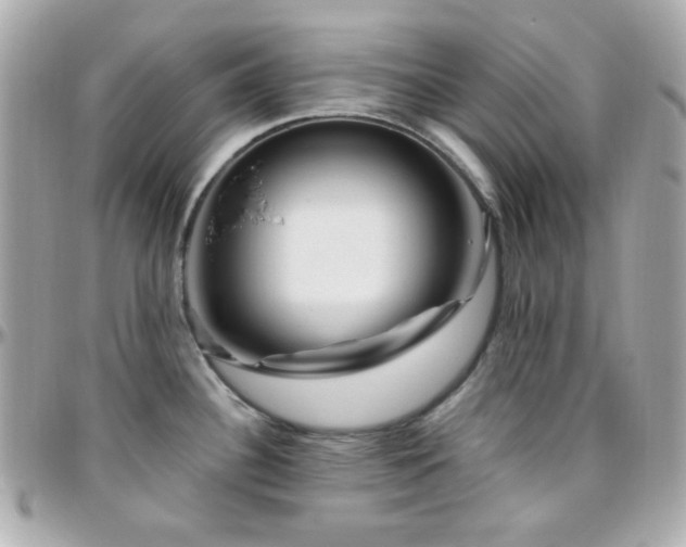 X0000096471340200801241420