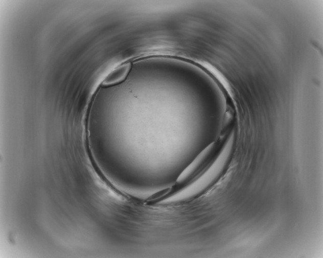 X0000096471341200801241420