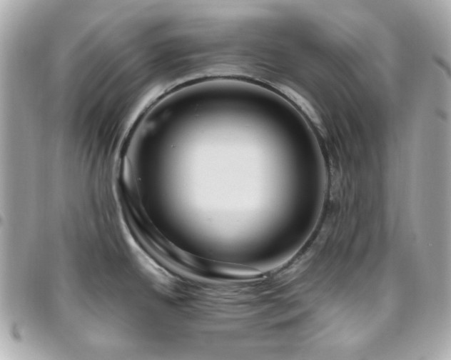 X0000096471342200801241420