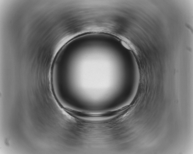 X0000096471343200801241420