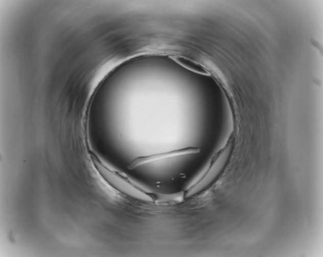 X0000096471344200801241420