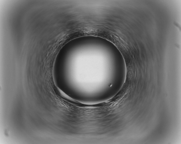 X0000096471345200801241420