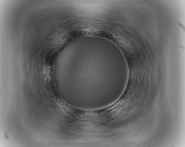 X0000096471346200801241420