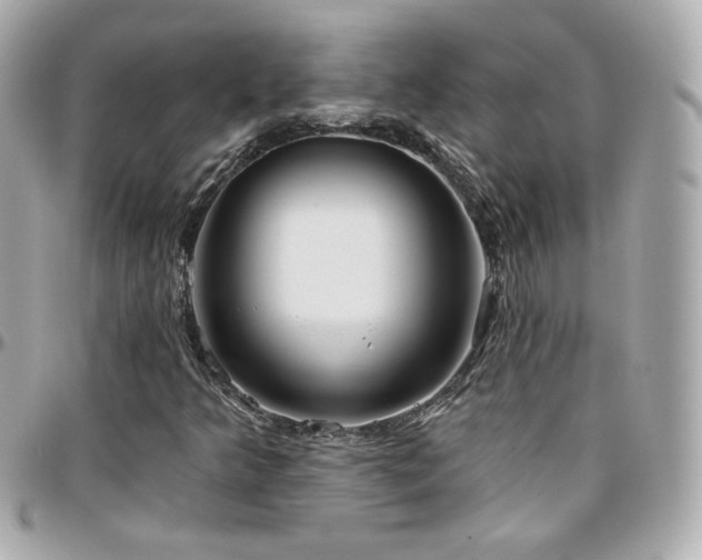 X0000096471349200801241420