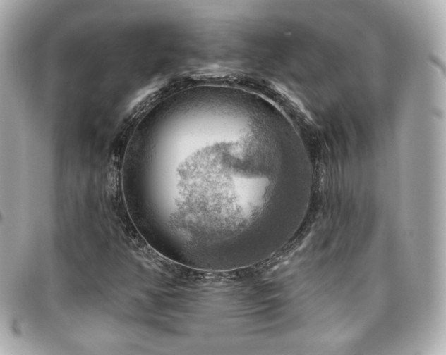 X0000096471350200801241420