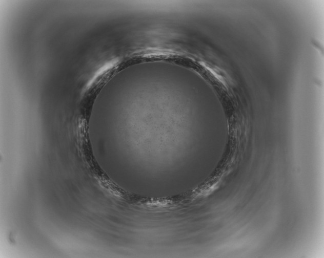 X0000096471351200801241420