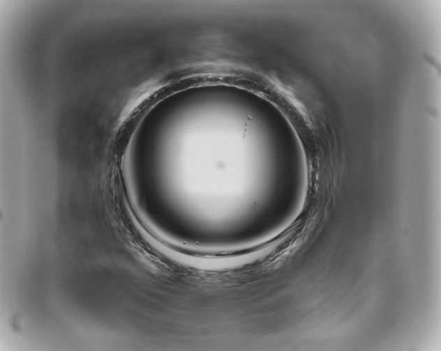 X0000096471352200801241420