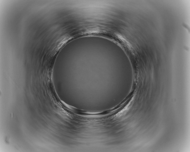 X0000096471353200801241420