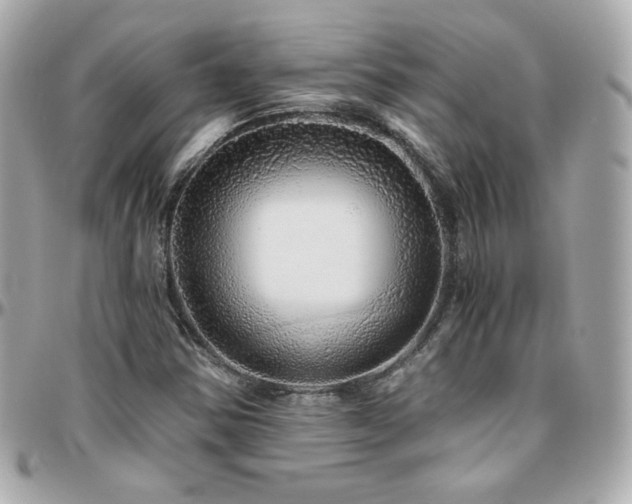 X0000096471354200801241420