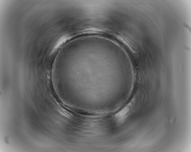 X0000096471355200801241420