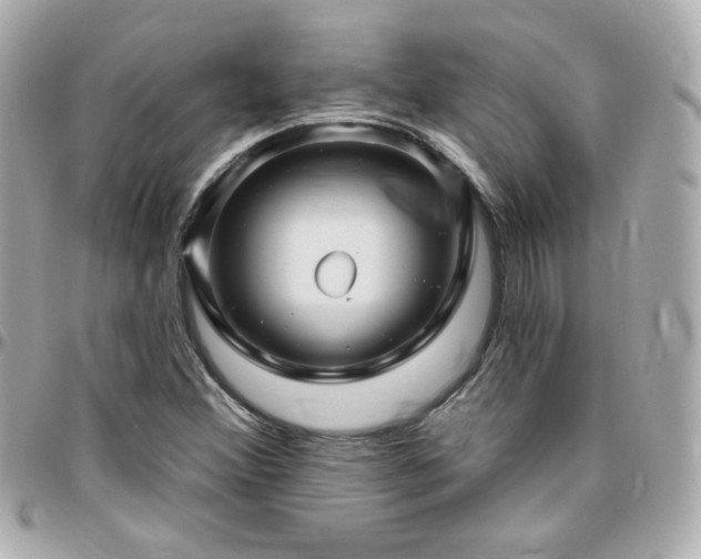 X0000096471356200801241420