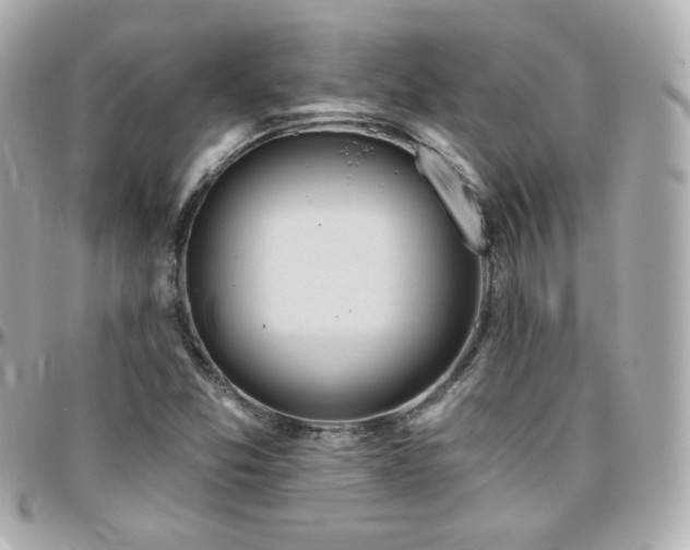 X0000096471357200801241420