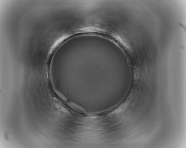 X0000096471358200801241420