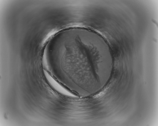 X0000096471359200801241419