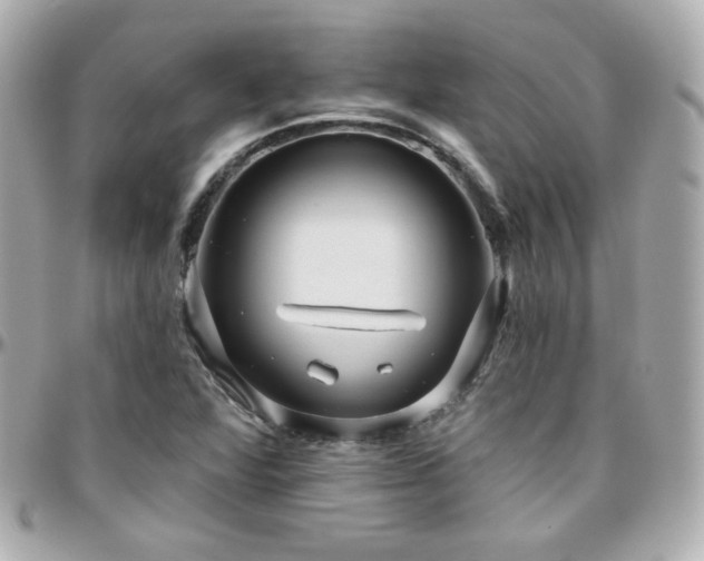 X0000096471360200801241419