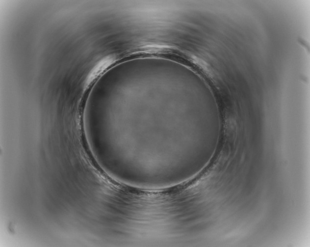 X0000096471362200801241419