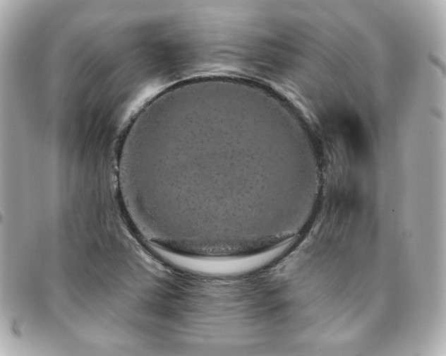 X0000096471363200801241419