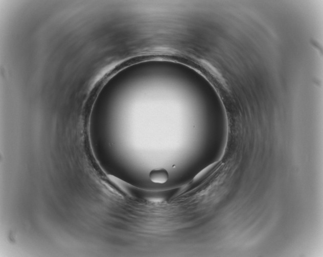 X0000096471364200801241419