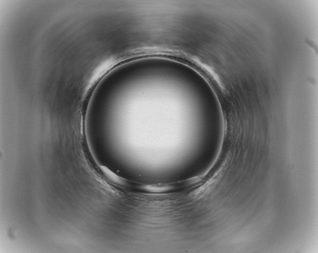 X0000096471365200801241419