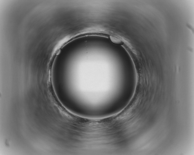 X0000096471366200801241419