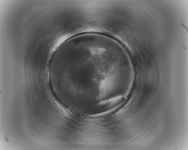 X0000096471367200801241419