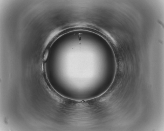 X0000096471368200801241419