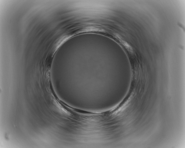 X0000096471369200801241419