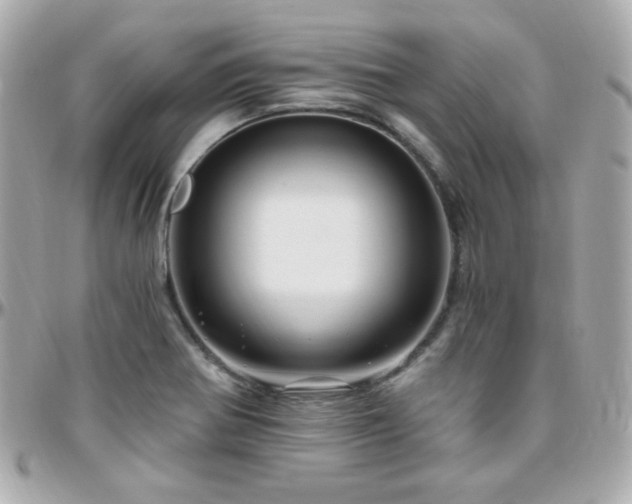 X0000096471370200801241419