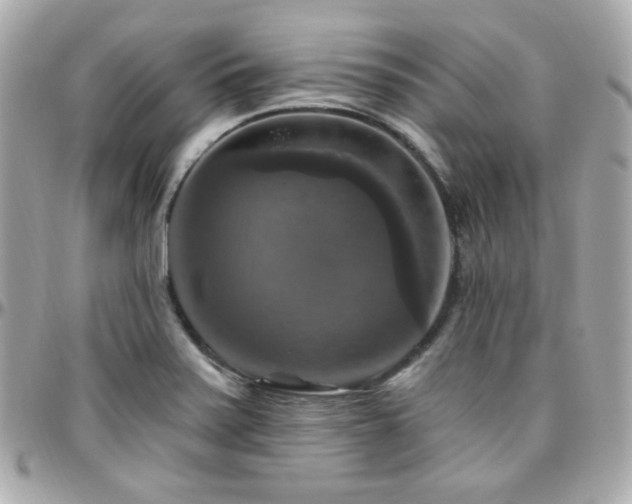 X0000096471371200801241419