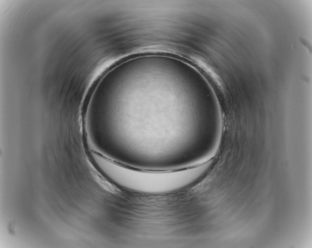 X0000096471372200801241419