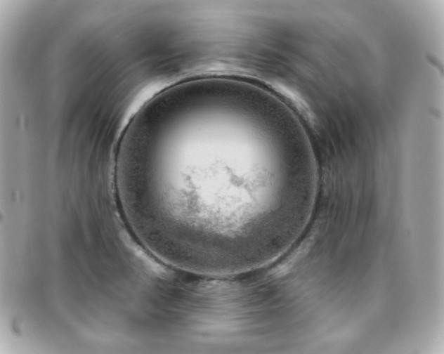 X0000096471374200801241419