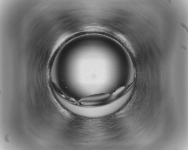 X0000096471376200801241419