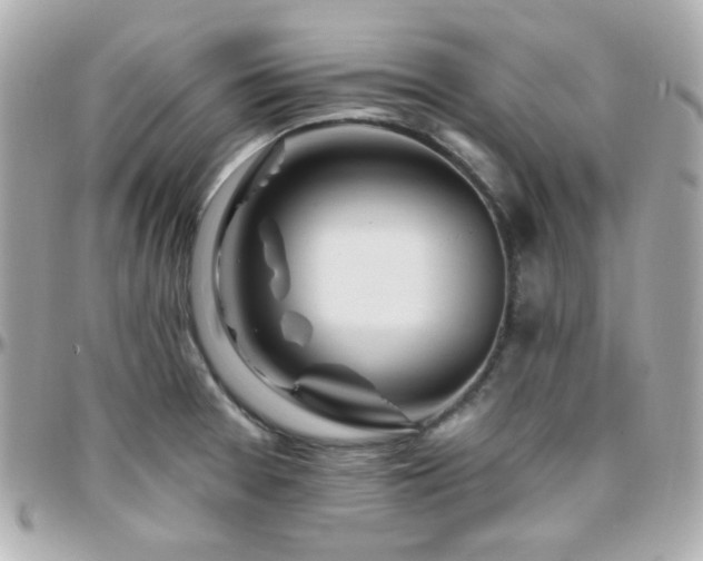 X0000096471377200801241419