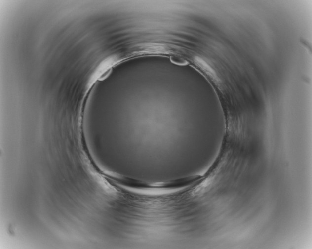 X0000096471378200801241419