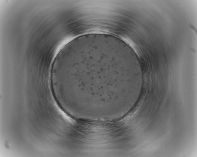 X0000096471379200801241419