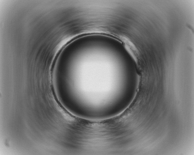 X0000096471380200801241419