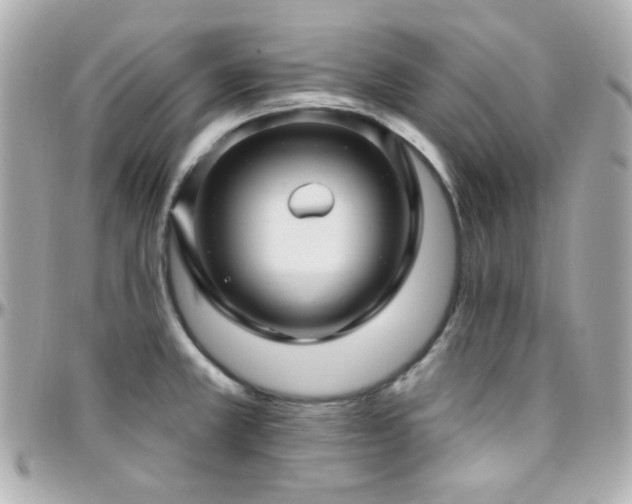 X0000096471381200801241419