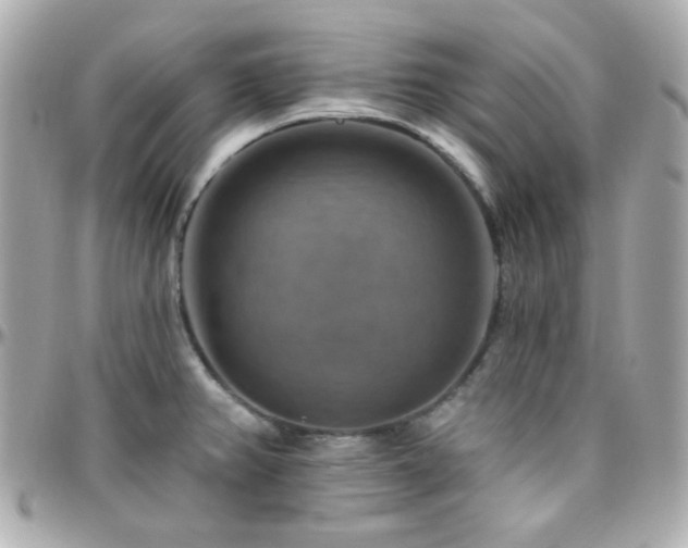 X0000096471382200801241419