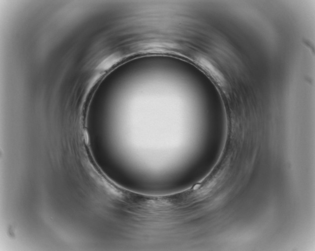 X0000096471384200801241419